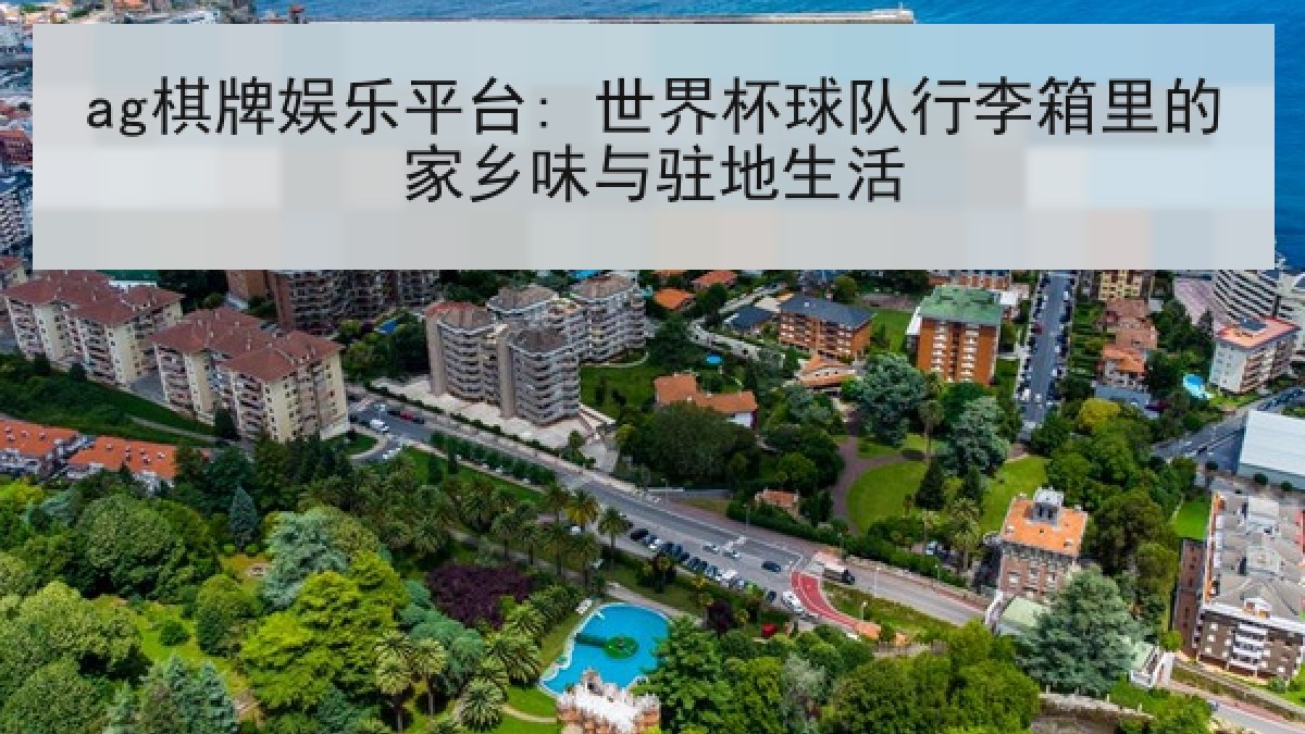 ag棋牌娱乐平台: 世界杯球队行李箱里的家乡味与驻地生活 ag棋牌娱乐平台: 世界杯球队行李箱里的家乡味与驻地生活